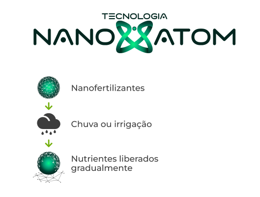 Tecnologia  Atom