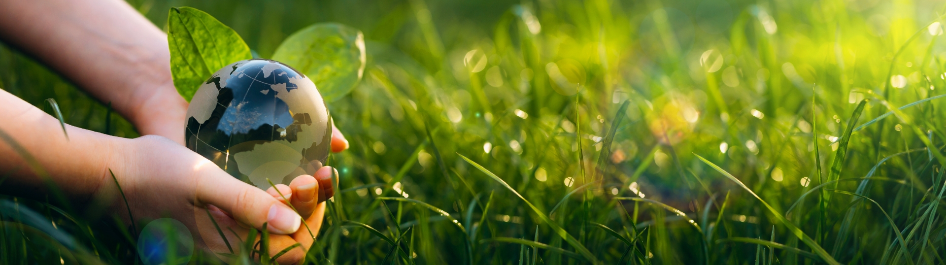 Reduzindo as emissões de Gases de Efeito Estufa com a Linha SE da Polli Fertilizantes: Sustentabilidade e Inovação.