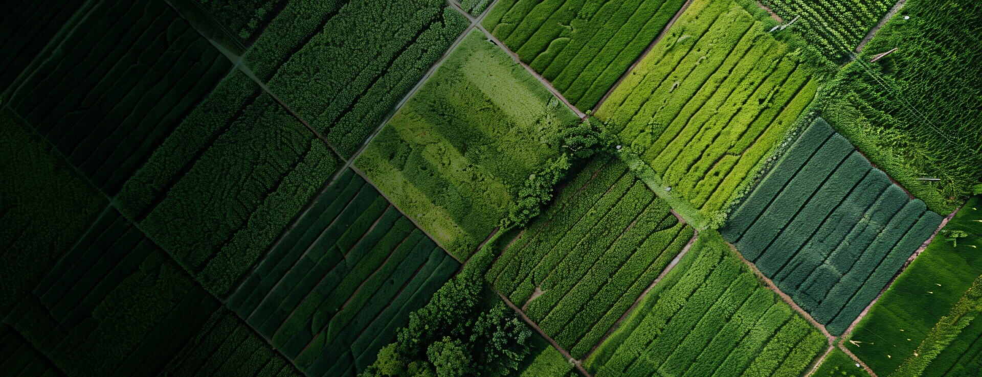 Para uma agricultura que alimenta o mundo e cuida do planeta